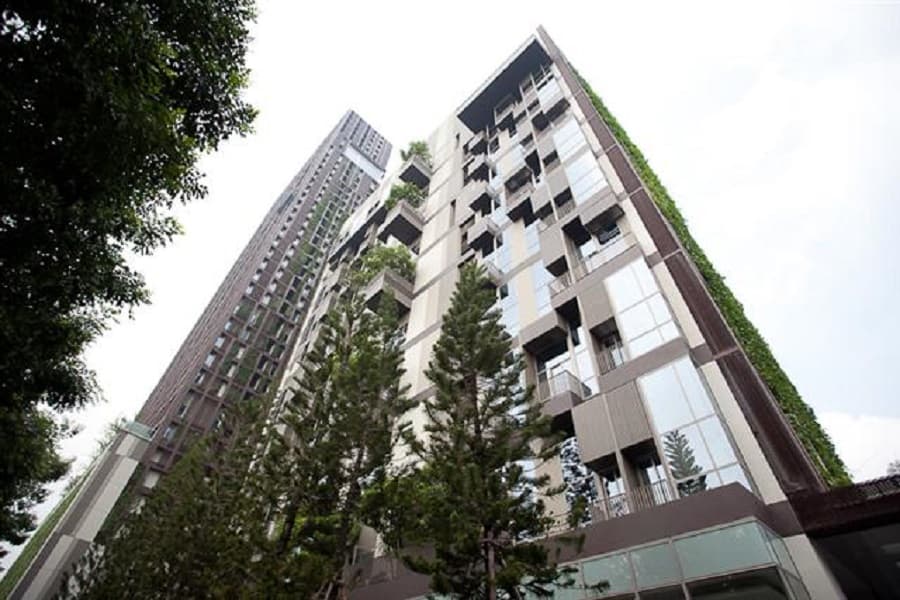 Ashton Morph 38 photo #13