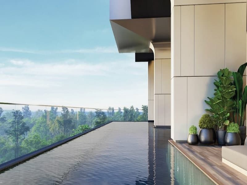 วิสซ์ดอม เดอะ ฟอเรสเทียส์ (Whizdom The Forestias) รูปที่ 18