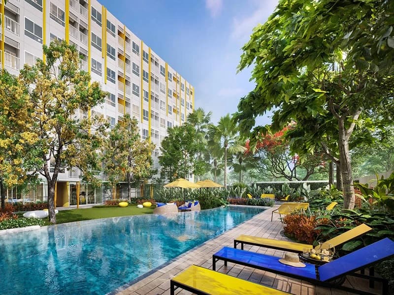 Hay Hua Hin photo #22