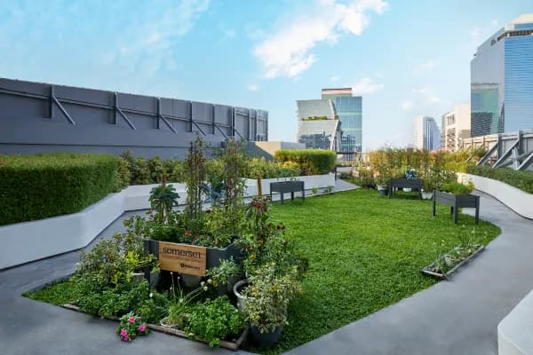 ซัมเมอร์เซ็ท พระราม 9 กรุงเทพฯ (Somerset Rama 9 Bangkok) รูปที่ 11