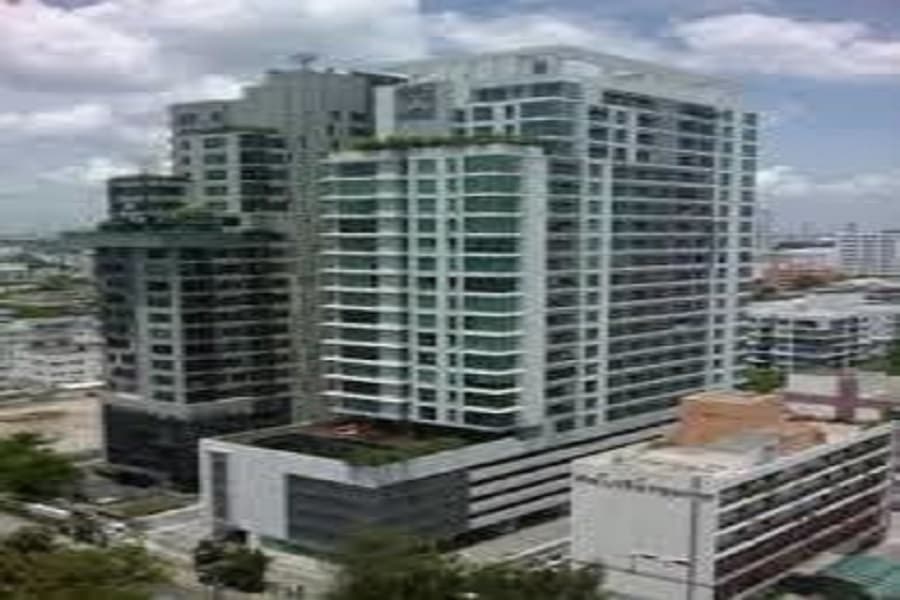 Noble Lite photo #14