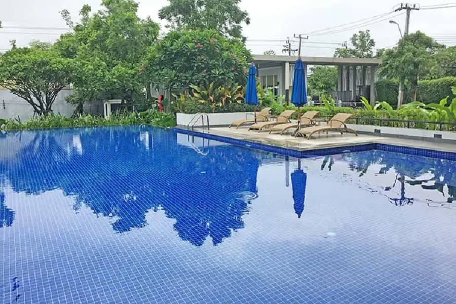 เดอะ แพลนท์ ซิมพลีส พหลโยธิน - สายไหม (The Plant Simpls Paholyothin - Saimai) รูปที่ 14