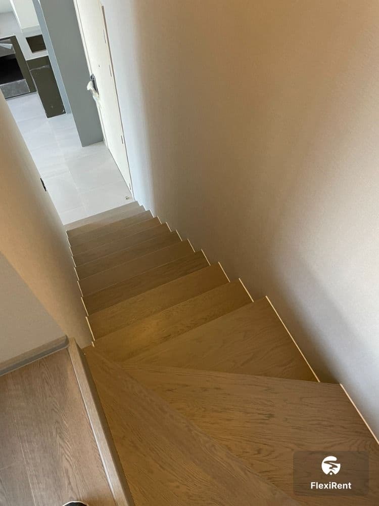 Cooper Siam photo #9