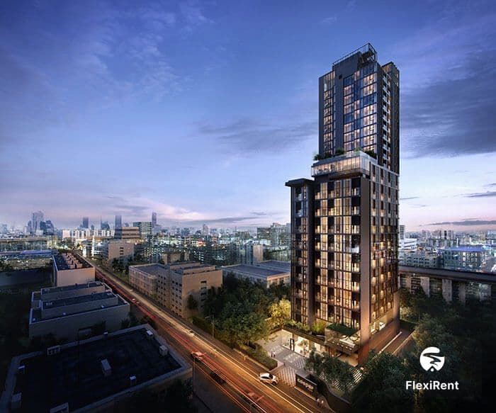 Cooper Siam photo #17