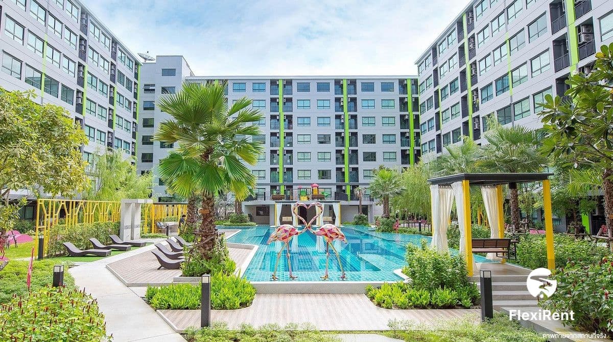 Grene Donmuang - Songprapha photo #25