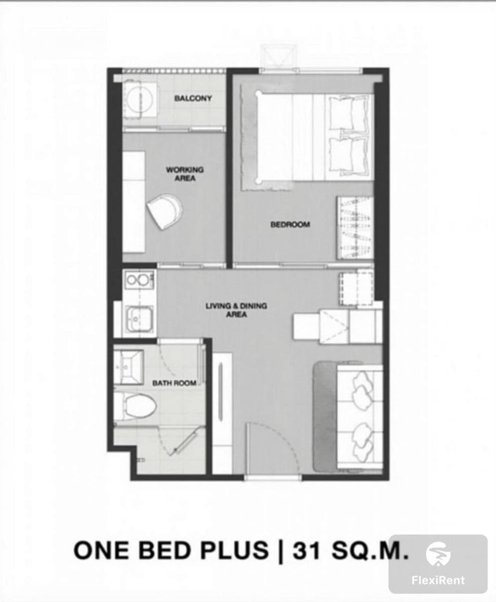 KnightsBridge Prime Onnut photo #15