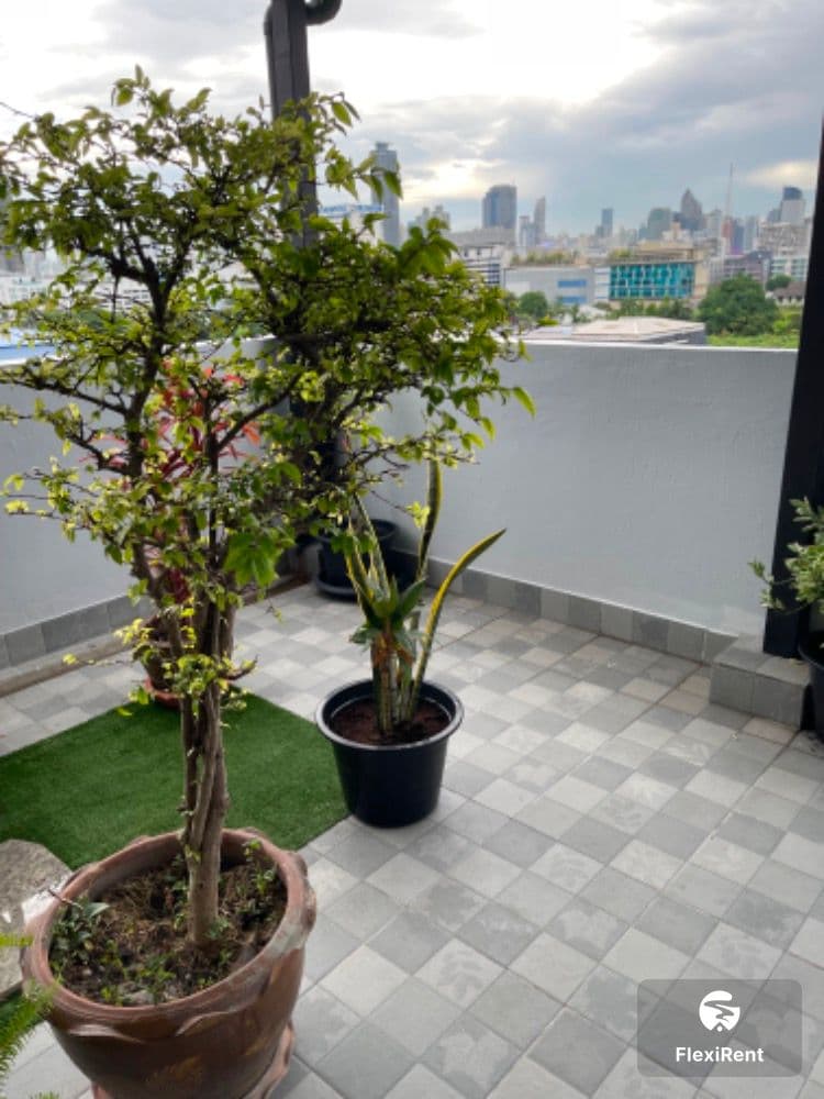 Sun Palace Condominium photo #6