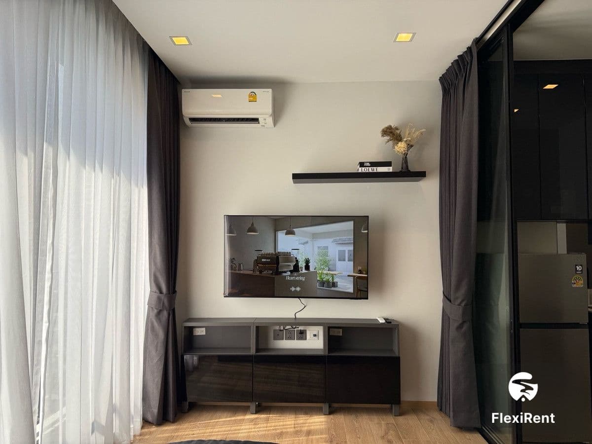 Noble Around Ari Image 4