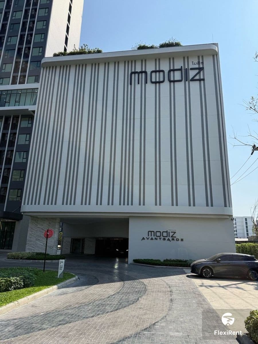 Modiz Avantgarde Image 2