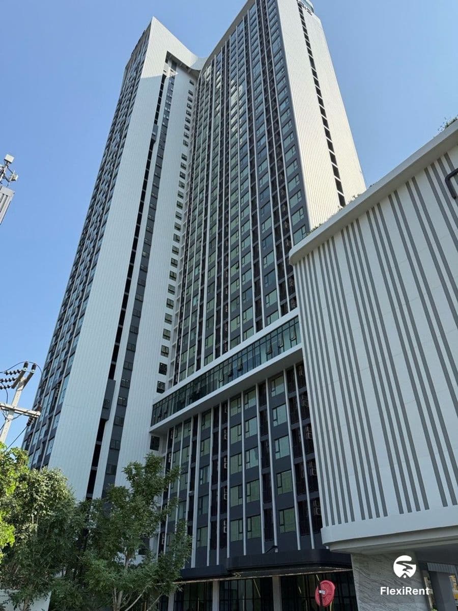 Modiz Avantgarde Image 3