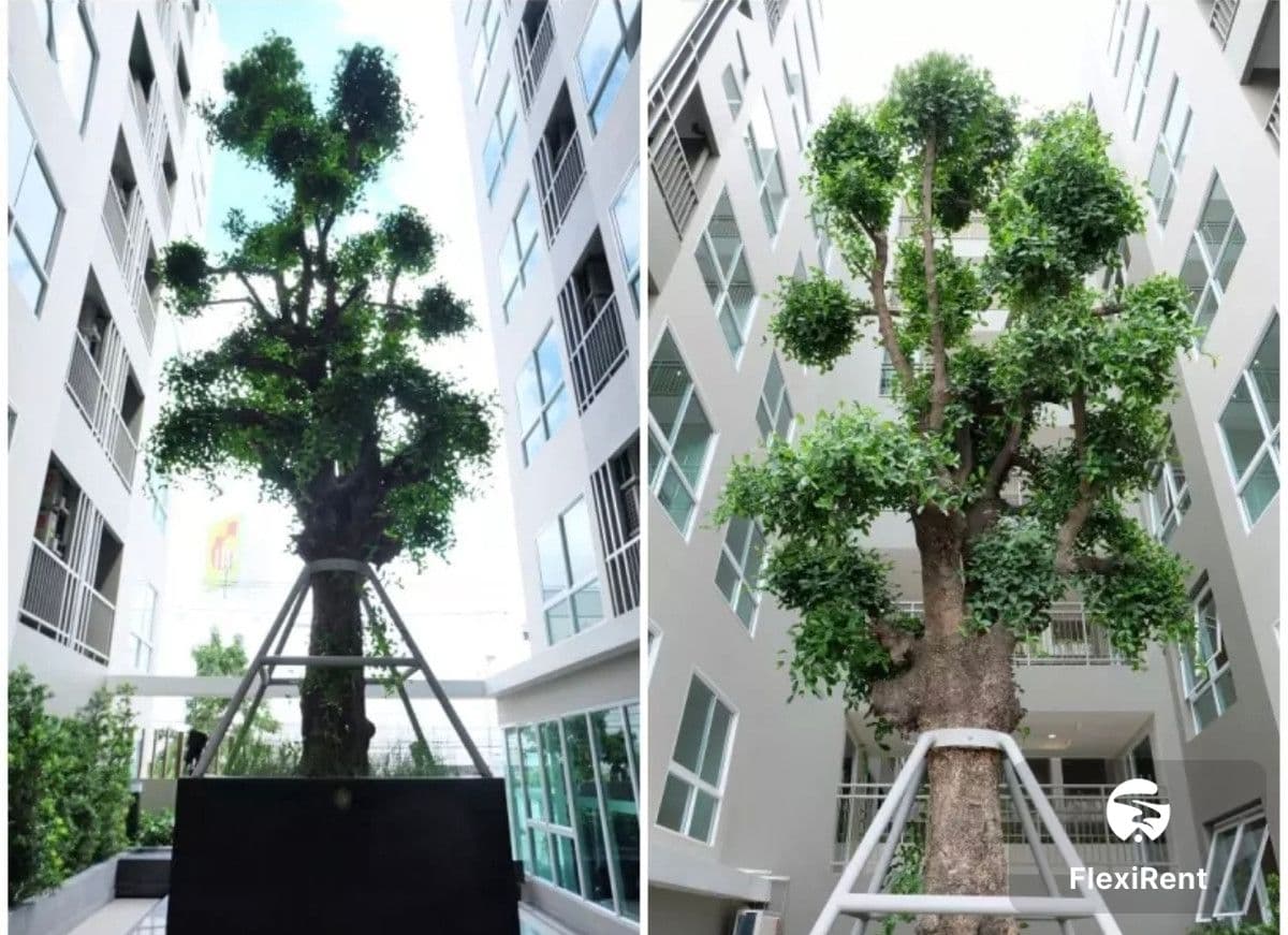 เทมโป ควอด พหลโยธิน - สะพานใหม่ (Tempo Quad Phaholyothin - Saphanmai) รูปที่ 9