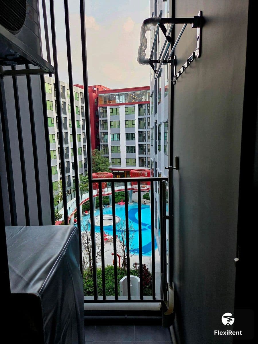 Kave Wonderland photo #6