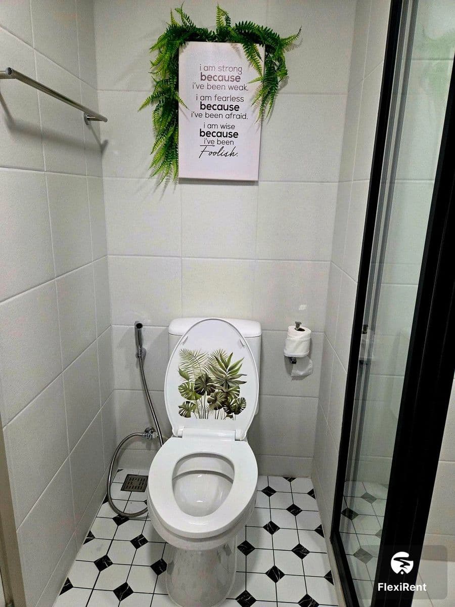 Kave Wonderland photo #9