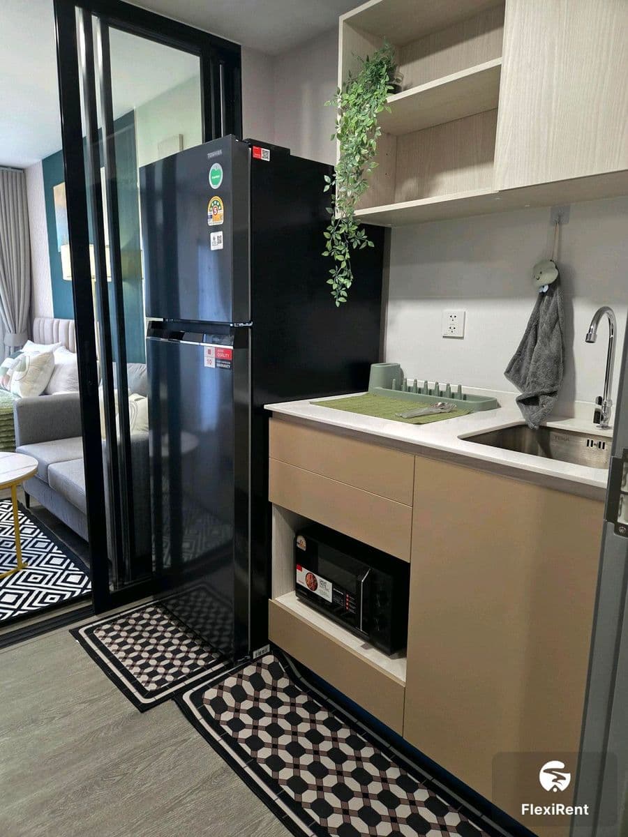 Kave Wonderland photo #10