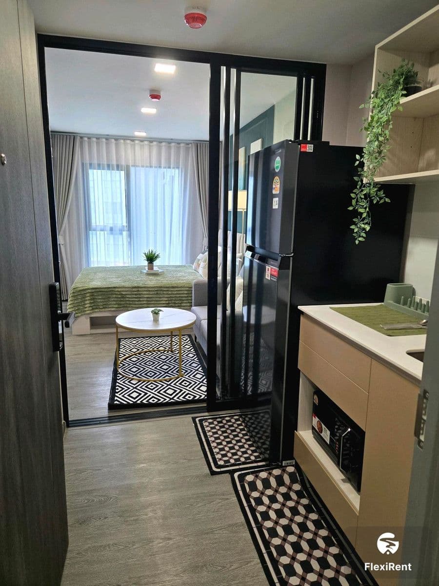 Kave Wonderland photo #12