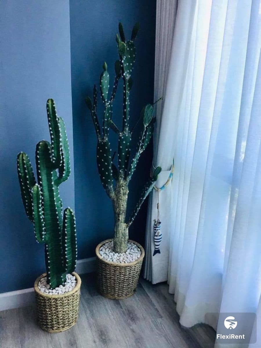 เดอะ เครสท์ ซานโตรา หัวหิน (The Crest Santora HuaHin) รูปที่ 14