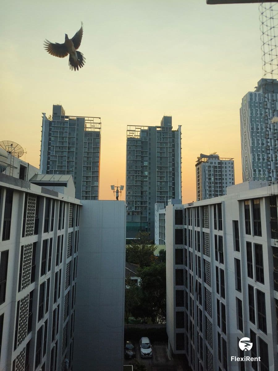 มายคอนโด สุขุมวิท 81 (My Condo Sukhumvit 81) รูปที่ 9