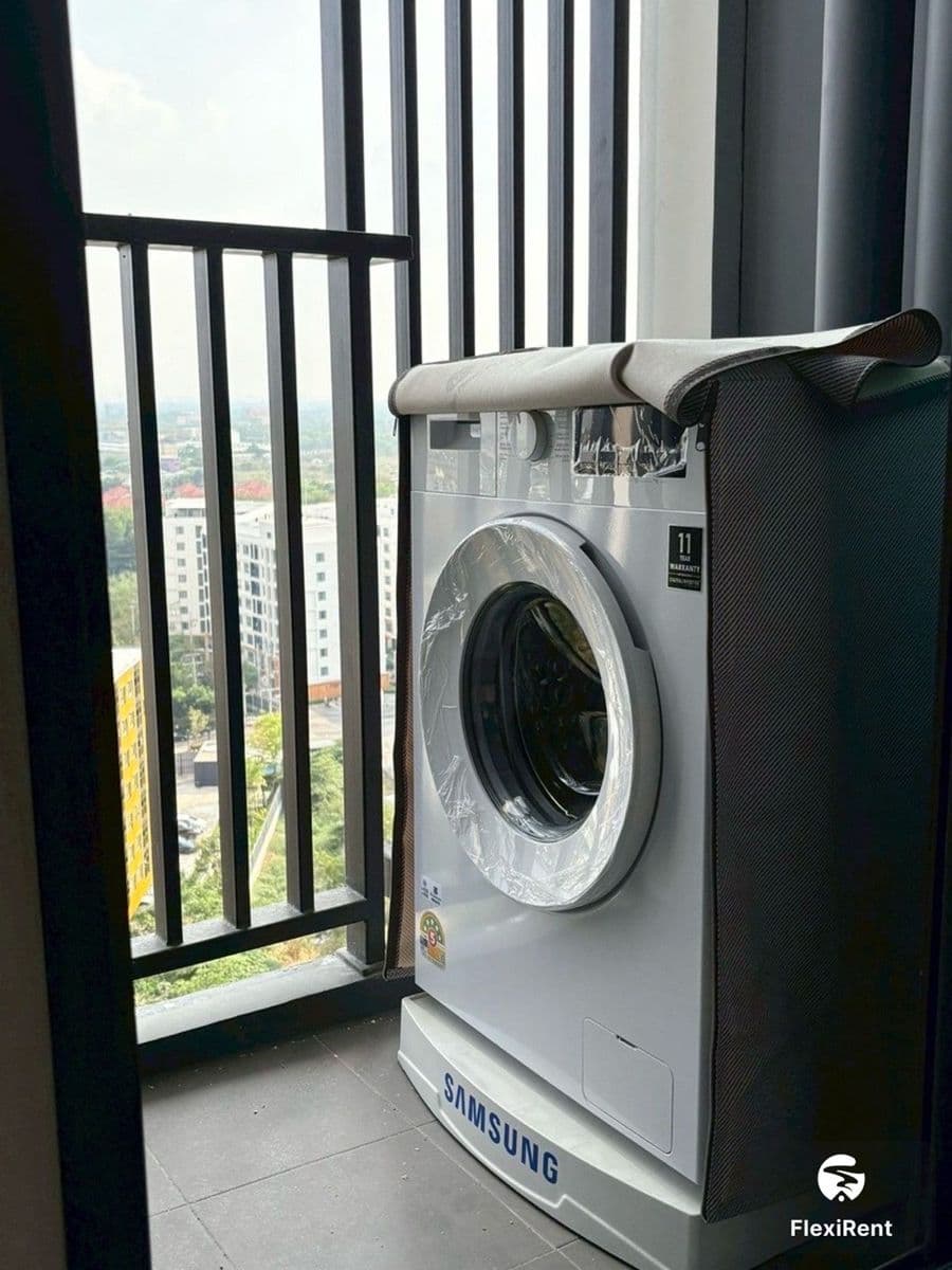 Modiz Avantgarde photo #9