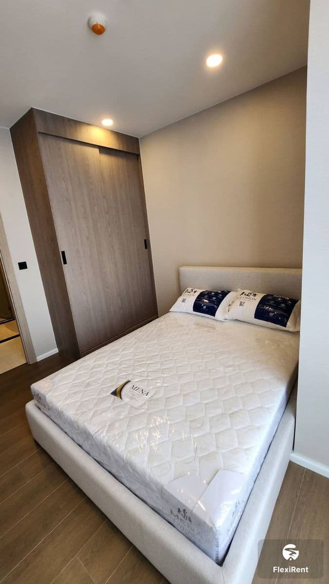 Cooper Siam photo #9