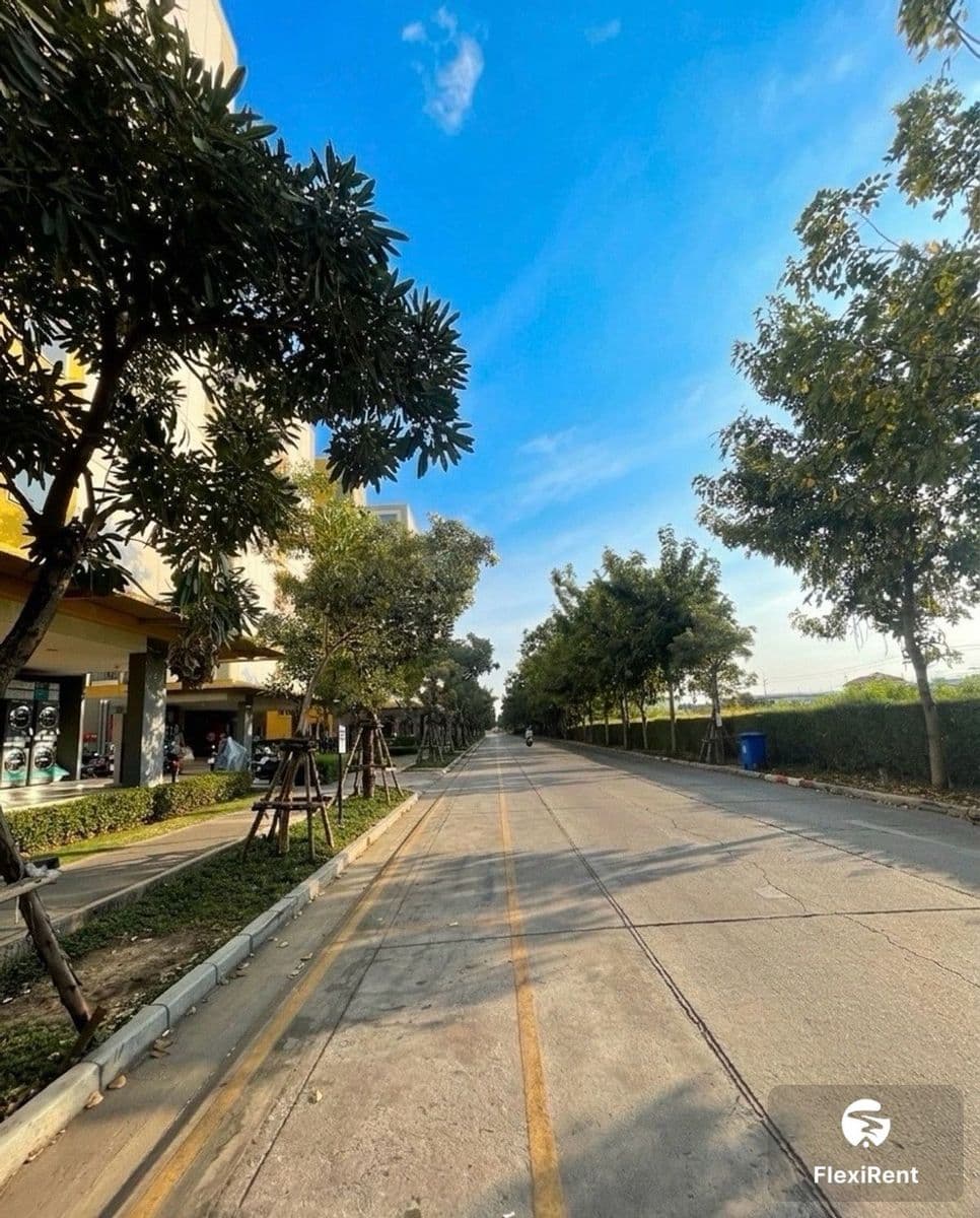ลุมพินี ทาวน์ชิป รังสิต คลอง 1 (Lumpini Township Rangsit-Khlong 1) รูปที่ 19