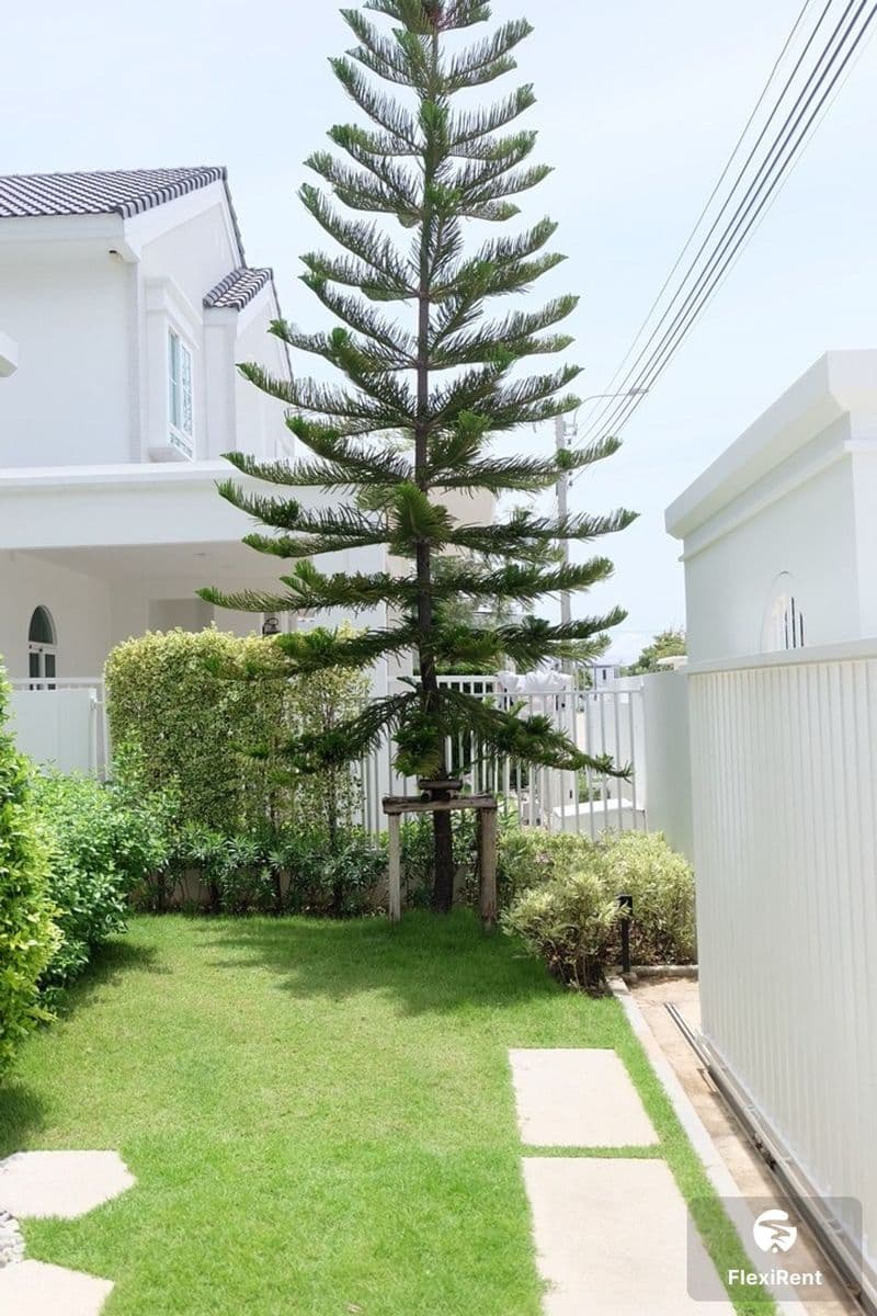 ชัยพฤกษ์ บางนา กม.15 (Chaiyapruek Bangna km 15) รูปที่ 21