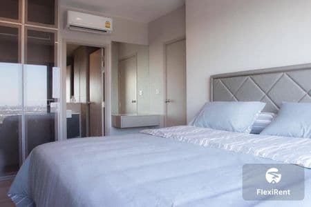 เดอะ โพลิแทน รีฟ (The Politan Rive) รูปที่ 1