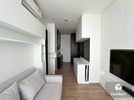 Noble Around Ari Image 5