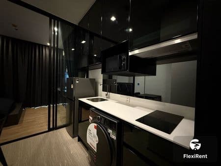 Noble Around Ari Image 3