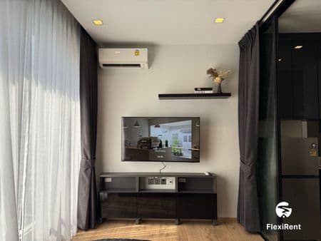 Noble Around Ari Image 4