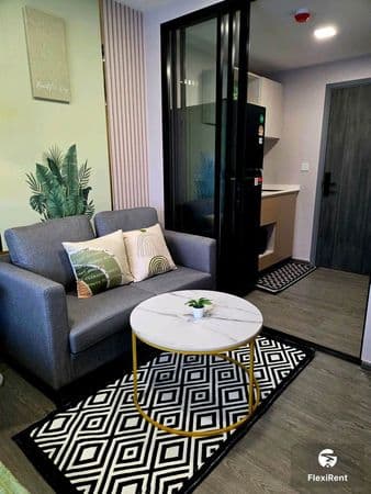 Kave Wonderland Image 4