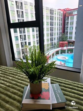 Kave Wonderland Image 5