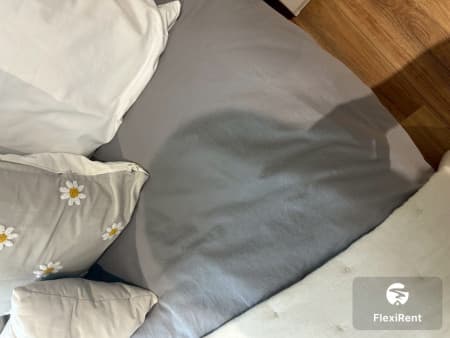 เดอะ ไทเทิ้ล ฮาโล 1 (The Title Halo 1) รูปที่ 2