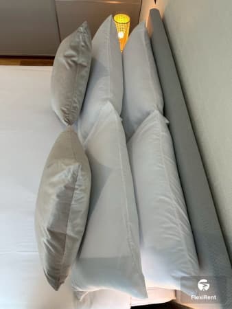 เดอะ ไทเทิ้ล ฮาโล 1 (The Title Halo 1) รูปที่ 3