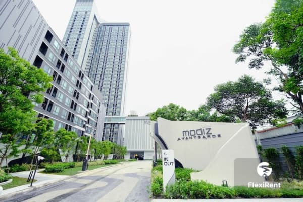 Modiz Avantgarde Image 1