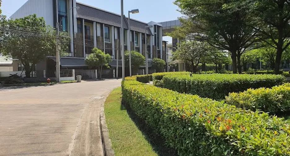 ฟลอร่า วงศ์สว่าง (Flora Wongsawang) รูปที่ 4