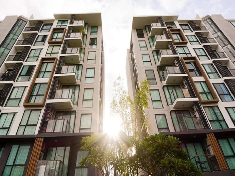 เซล รัตนาธิเบศร์ (Zelle Rattanathibet) รูปที่ 20