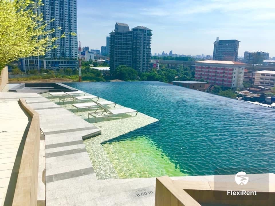 The Politan Rive photo #11