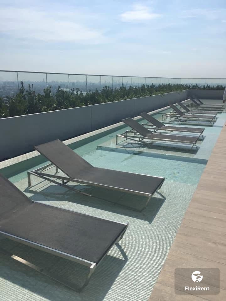 The Politan Rive photo #13