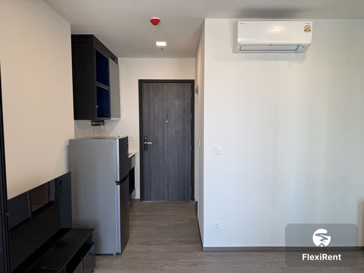 Modiz Avantgarde photo #7