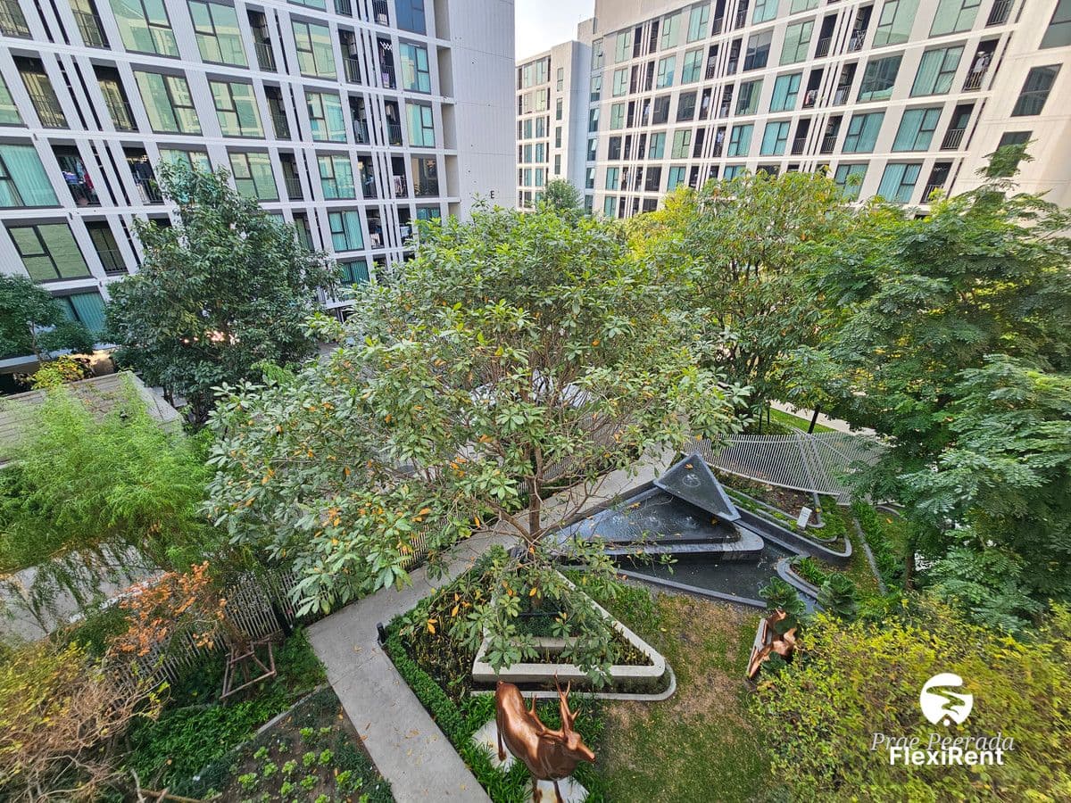 Atmoz Oasis Onnut photo #13