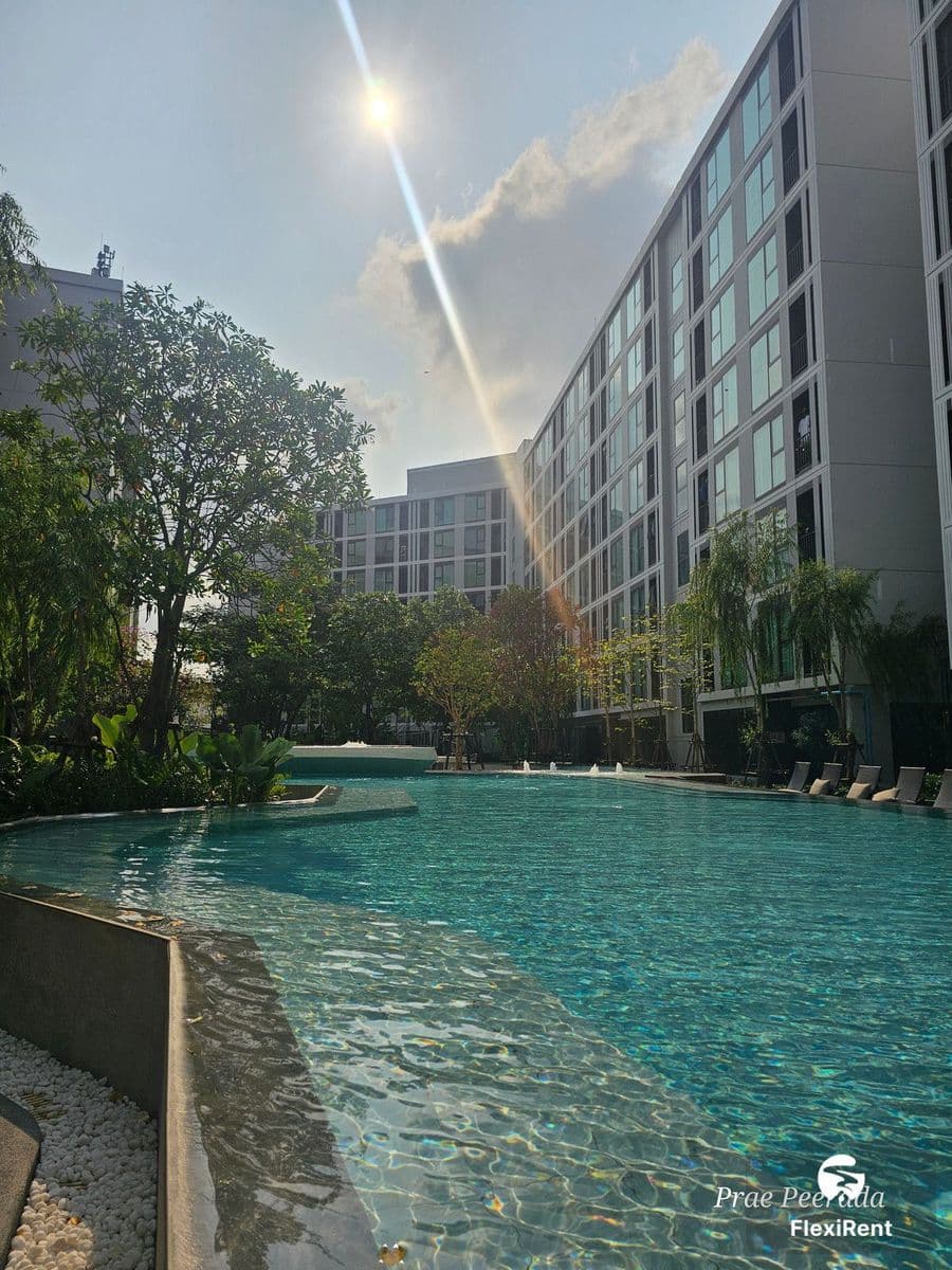 Atmoz Oasis Onnut photo #14