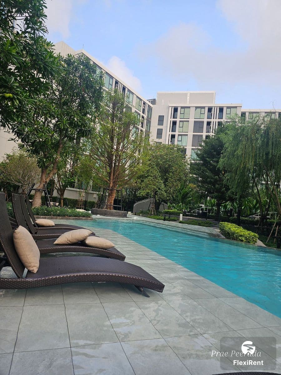 Atmoz Oasis Onnut photo #15