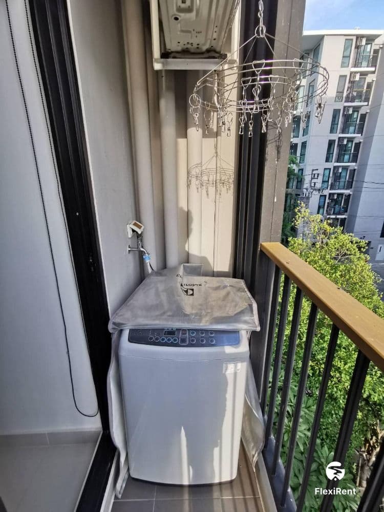 เซล รัตนาธิเบศร์ (Zelle Rattanathibet) รูปที่ 7